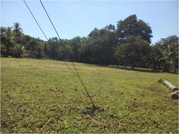 Quepos Commercial Property