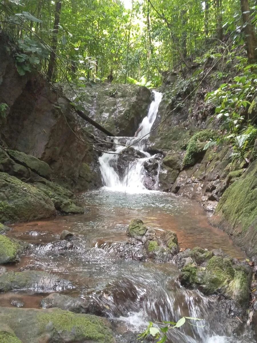 Riverside Rainforest Development Land, Osa, Puntarenas