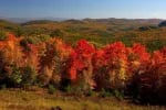 The Best Places in the World to Enjoy Fall Foliage