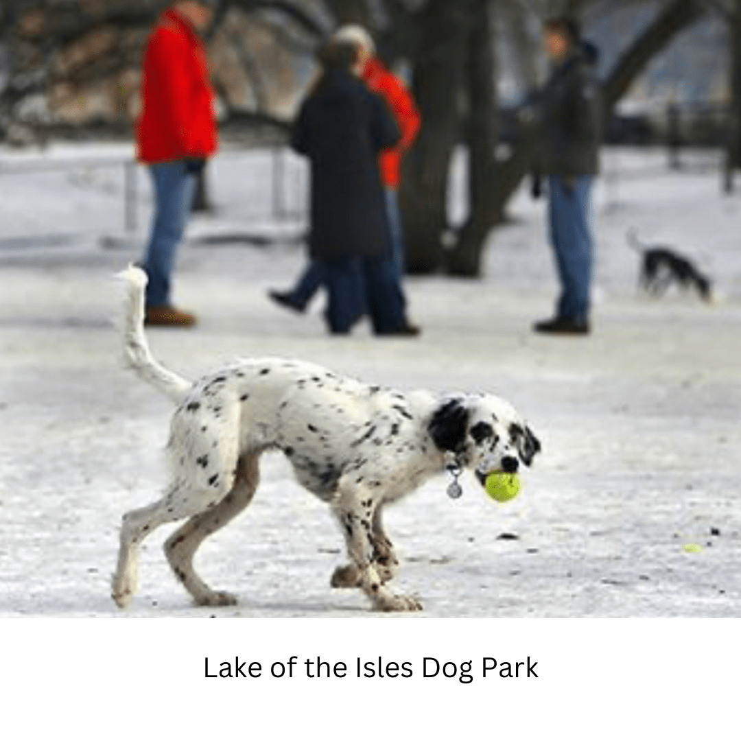 Explore Minneapolis Dog Parks