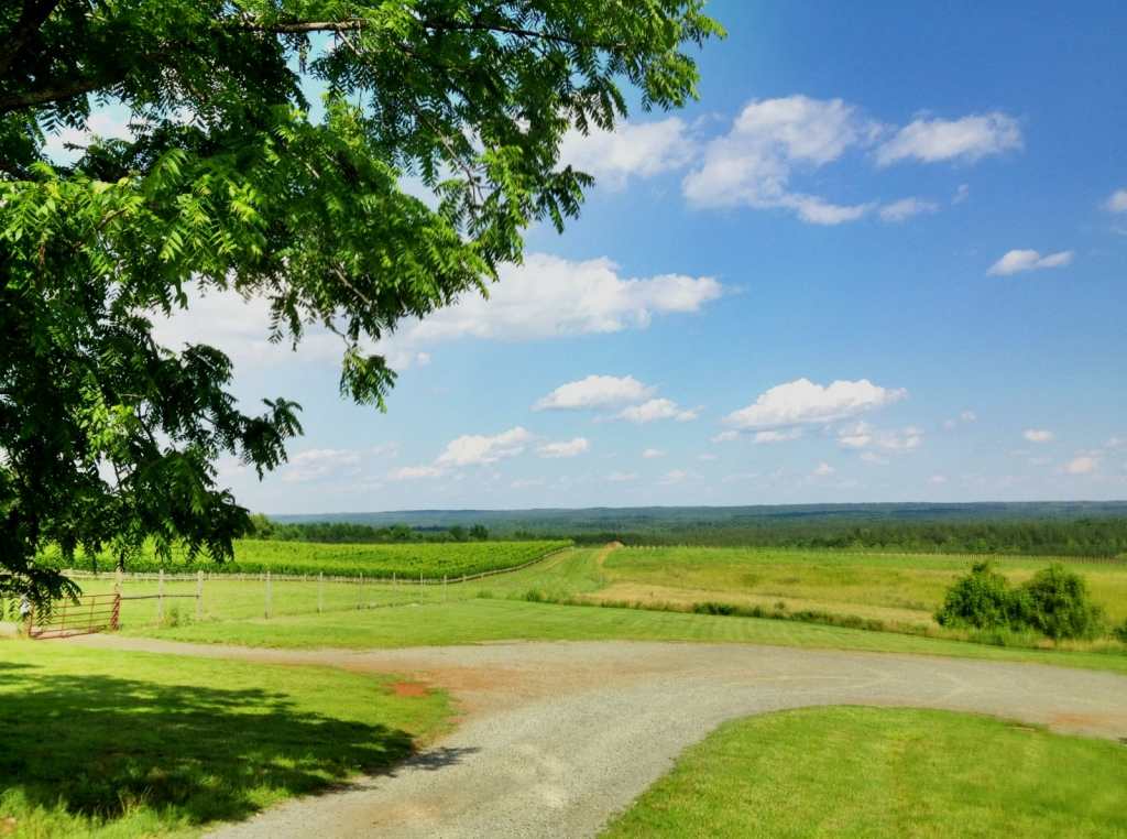 12 Cute Things To Do in Charlottesville