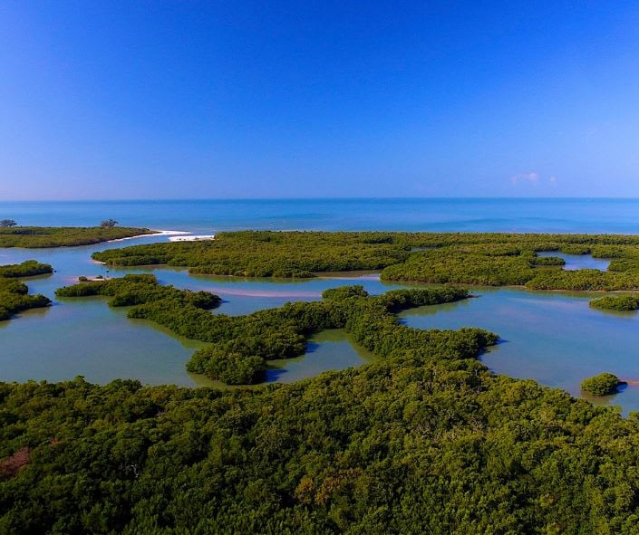 Kalea Bay views