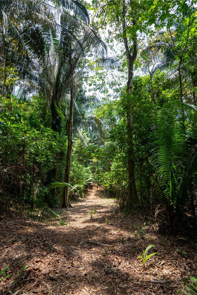 Private Ocean View Development Lot, Dominical, Puntarenas