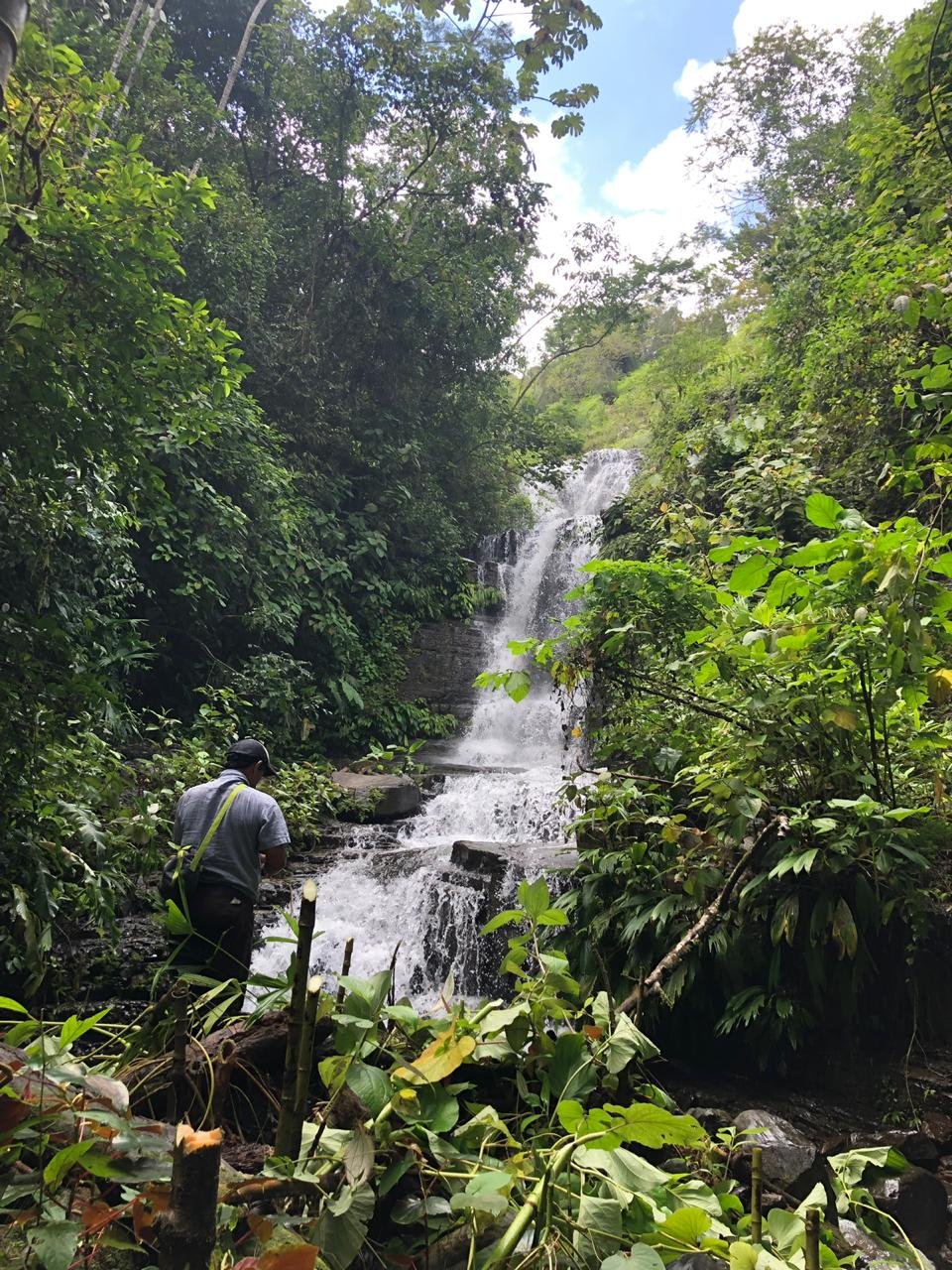 42 Acres With Waterfalls, Ocean Views & Multiple Building Sites Sliencio Ariba
