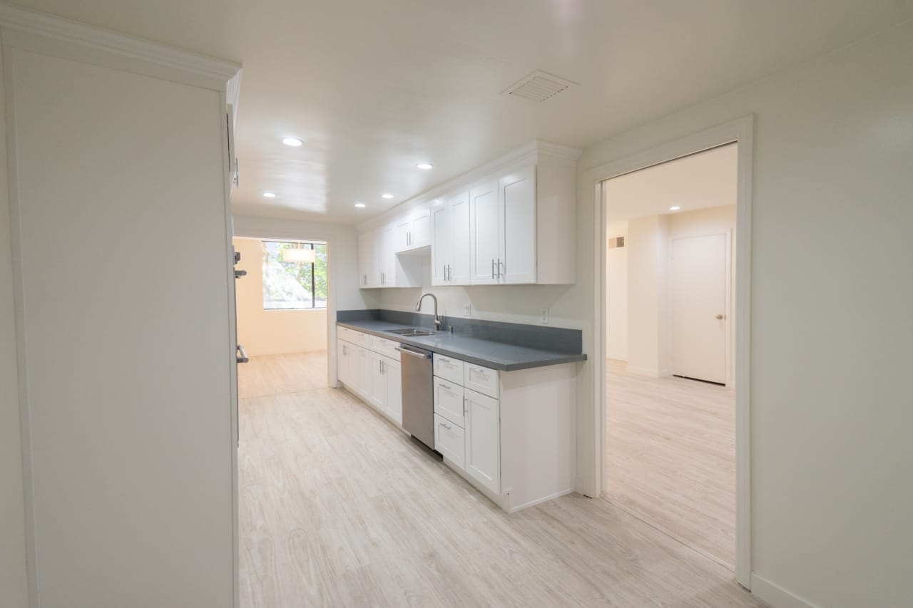 Bright and Open Maple Apartment