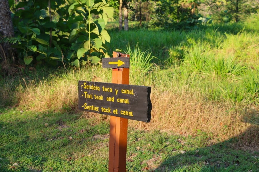 Coastal Development Land, Dominical, Puntarenas