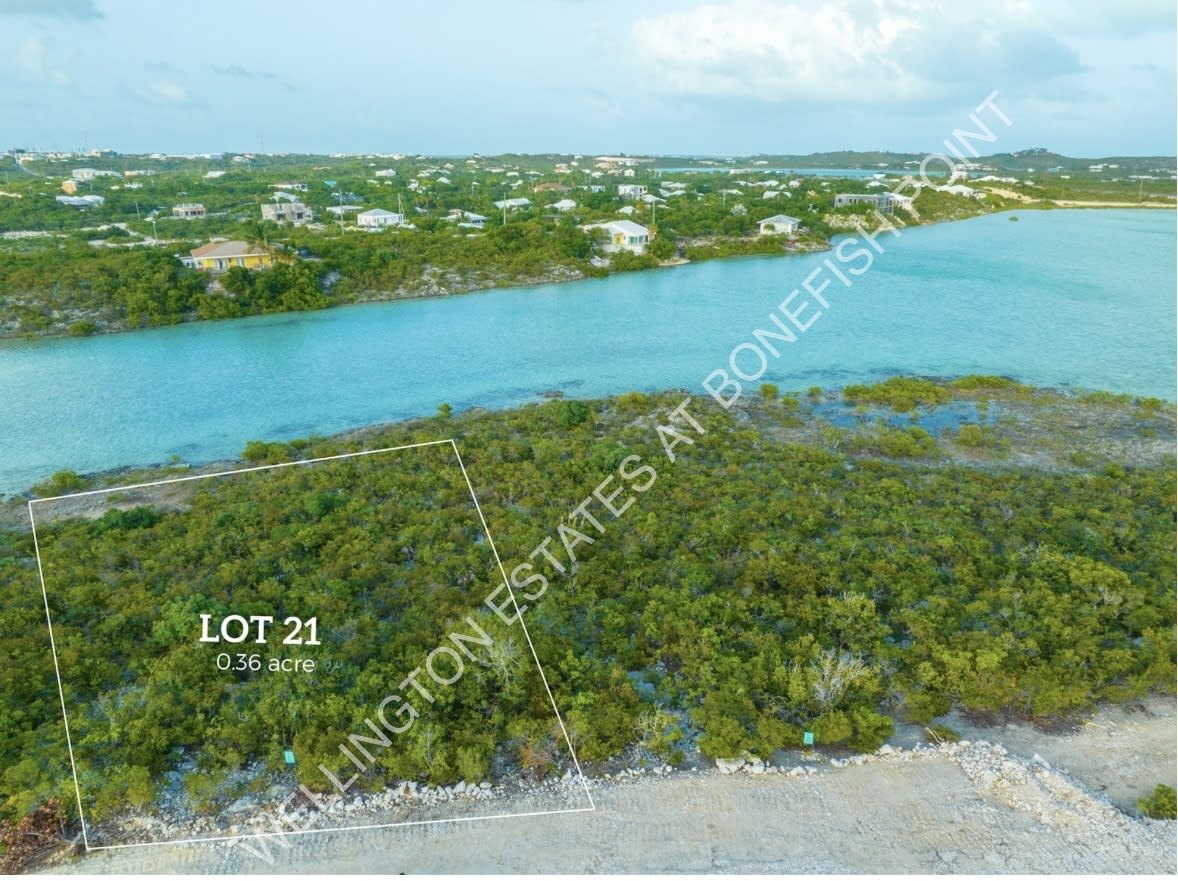Lot 21