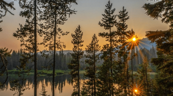 REAL ESTATE NEWS | AUG 2024