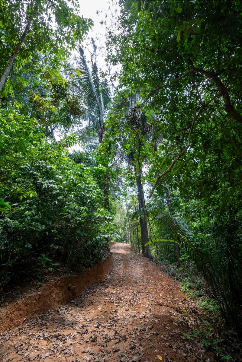 Private Ocean View Development Lot, Dominical, Puntarenas