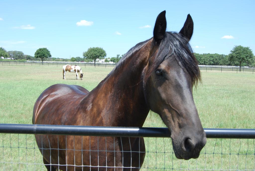 Trailside at Fair Oaks Ranch