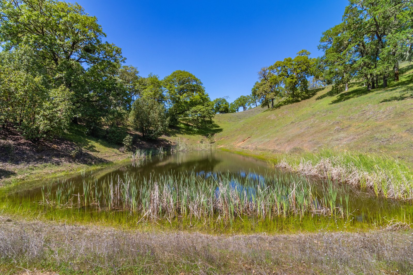 2800 Feliz Creek Rd.