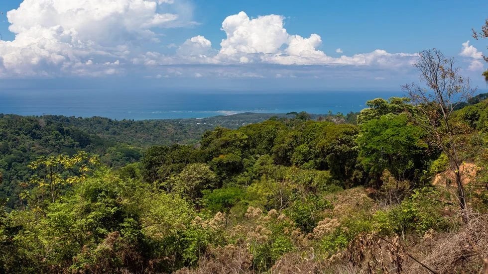Luxury Waterfall Farm, Uvita, Puntarenas