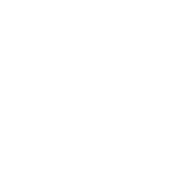 Transforming the City: Denver Walls 2024