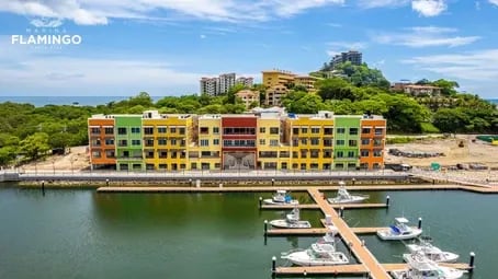 Marina Flamingo Construction Update January 2020