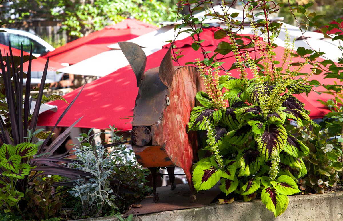 Design Inspiration - Local Eateries