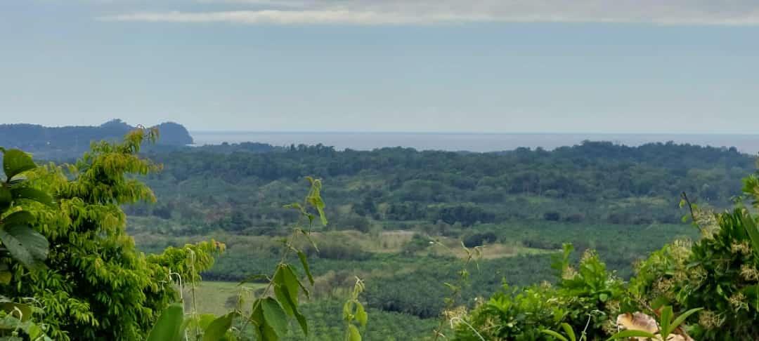 Prime 286-Acre Ocean View Property for Sale Near Quepos, Costa Rica – Ideal for Development