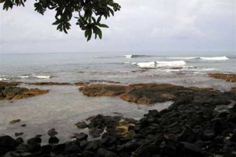 76-6274 ALII DR