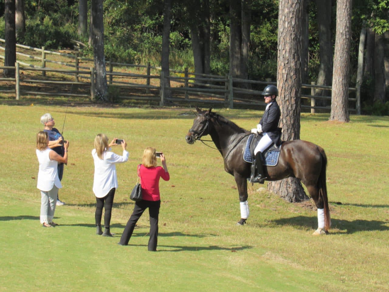 A lively scene of people capturing moments with a majestic horse.