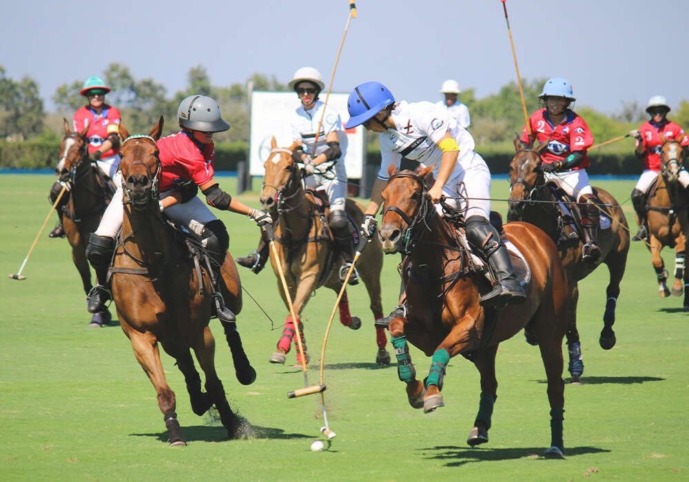 WOW Medium Goal Polo Comes to Flying Cow Polo Club