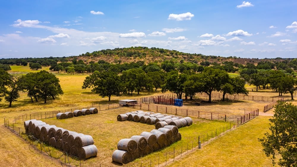 Dog Tick Ranch