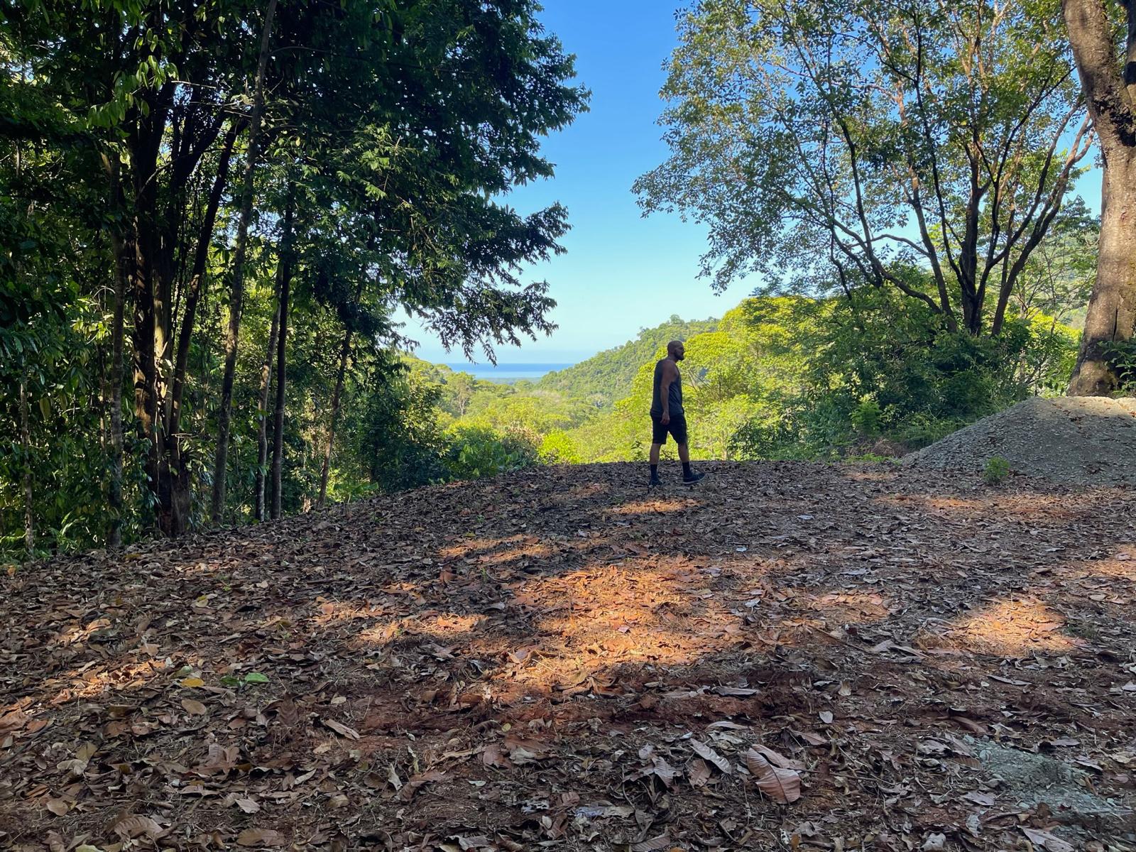 Tranquil Paradise in Portasol Gated Community, Lot C11, Portalon, Costa Rica