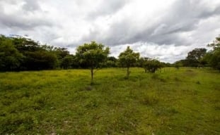 Prime Development Lot, Papagayo, Guanacaste