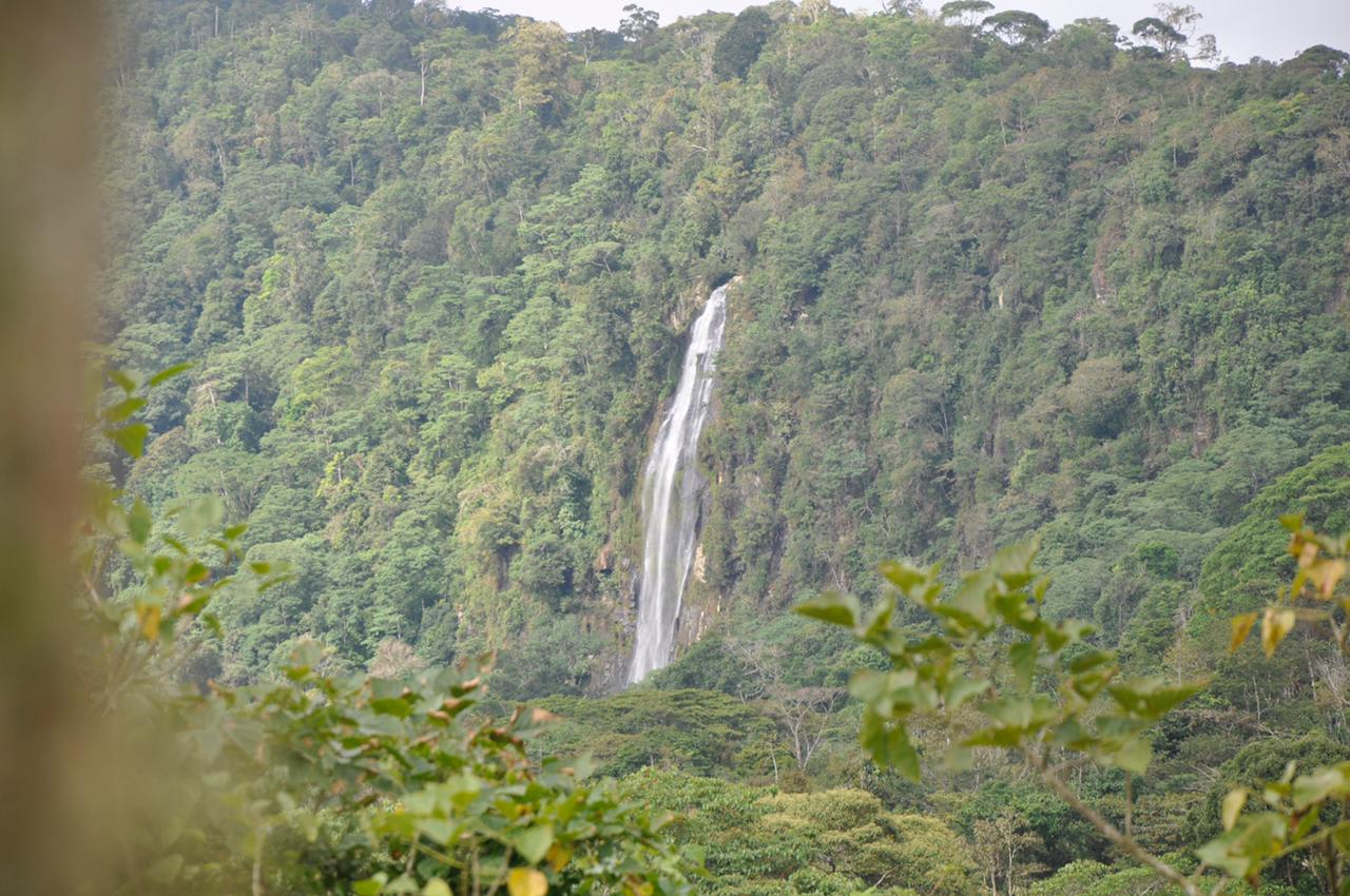 Waterfall View Farm On 80% Usable Land In Uvita