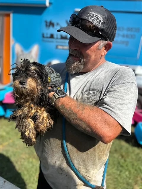 The Humane Society of Missouri has been giving animals in need a second chance for more than 150 years