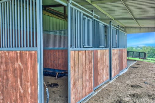 11625 FM 2447 Chappell Hill, Tx 77426