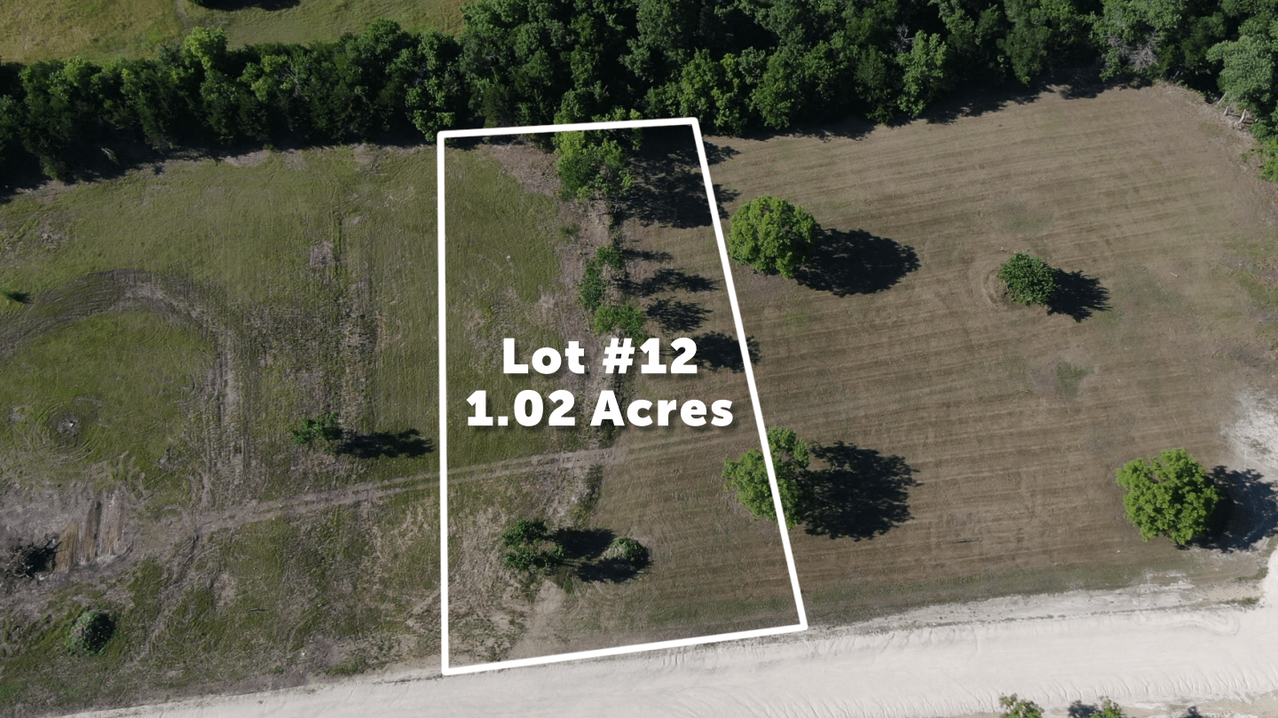 Lot 12