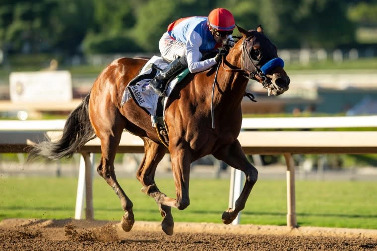 Preakness Stakes 2024: The Middle Jewel of the Triple Crown