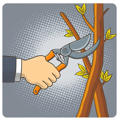 A hand trims a tree branch with pruning shears.