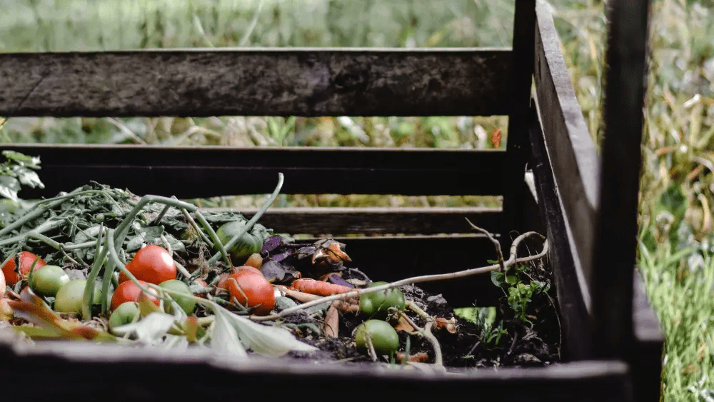 The beginner’s guide to composting in San Diego