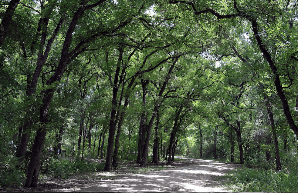 Best Hikes Near Westlake TX: Trails for Every Level Right Outside Your Door