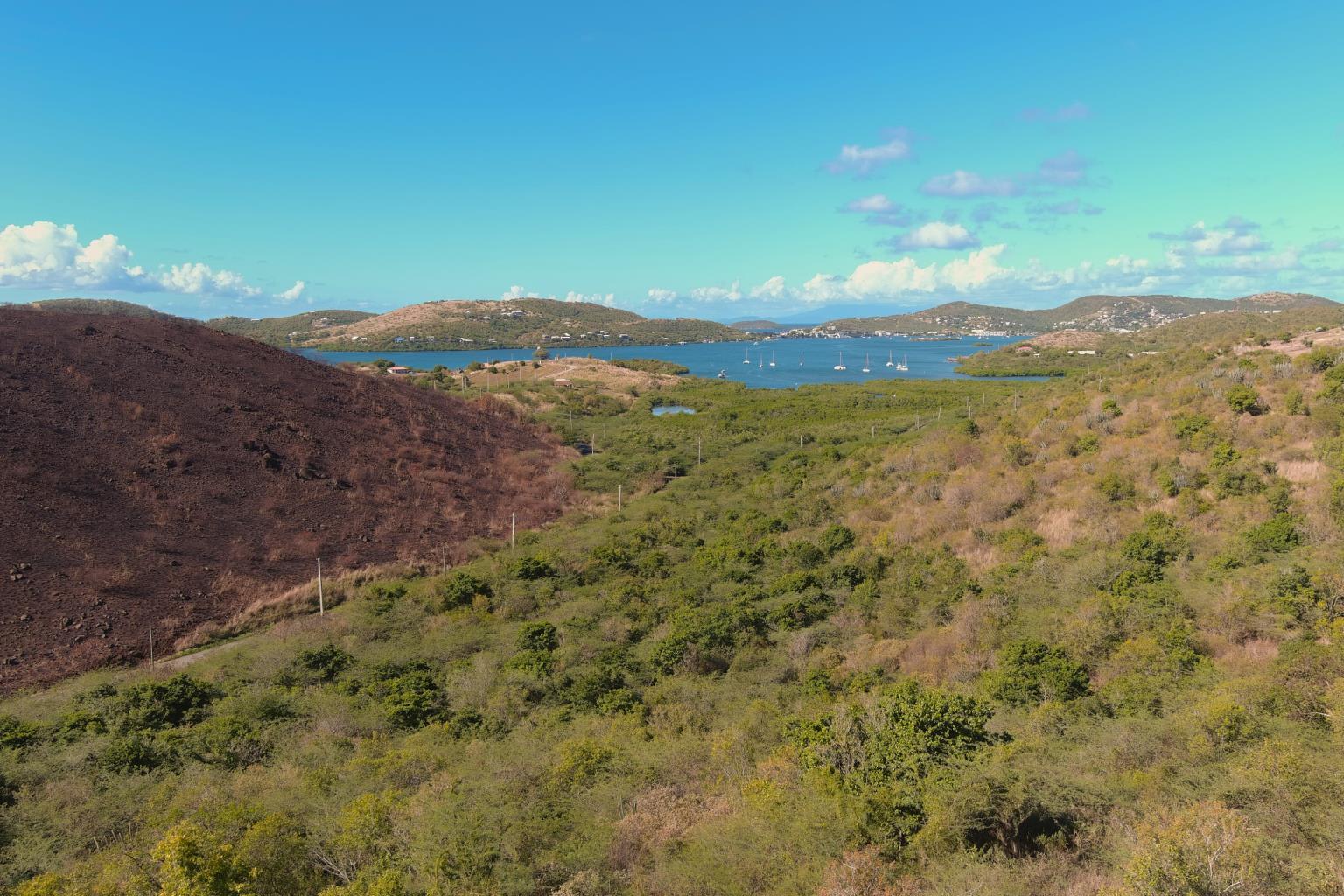 SOLD!!!!!!CULEBRA BETTER THAN EVER, #00