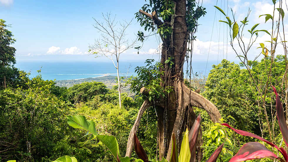 Ocean View Multi Villa Compound, Uvita, Puntarenas