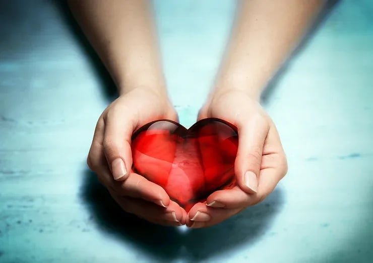Where to Donate in Morris County
