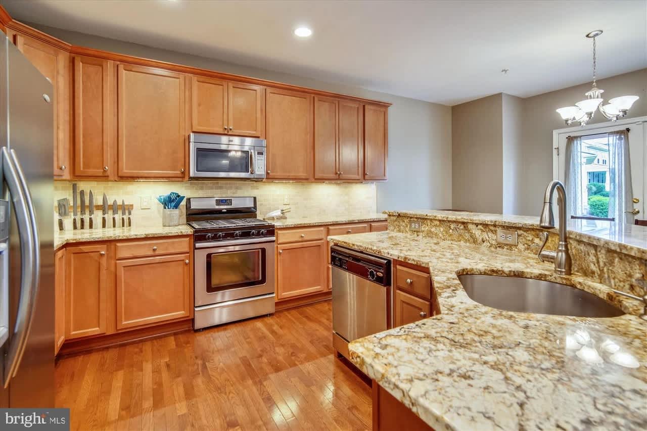 23237 Wild Daisy Way