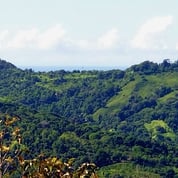 Zen Japanese Tropical Home, Dominical, Puntarenas