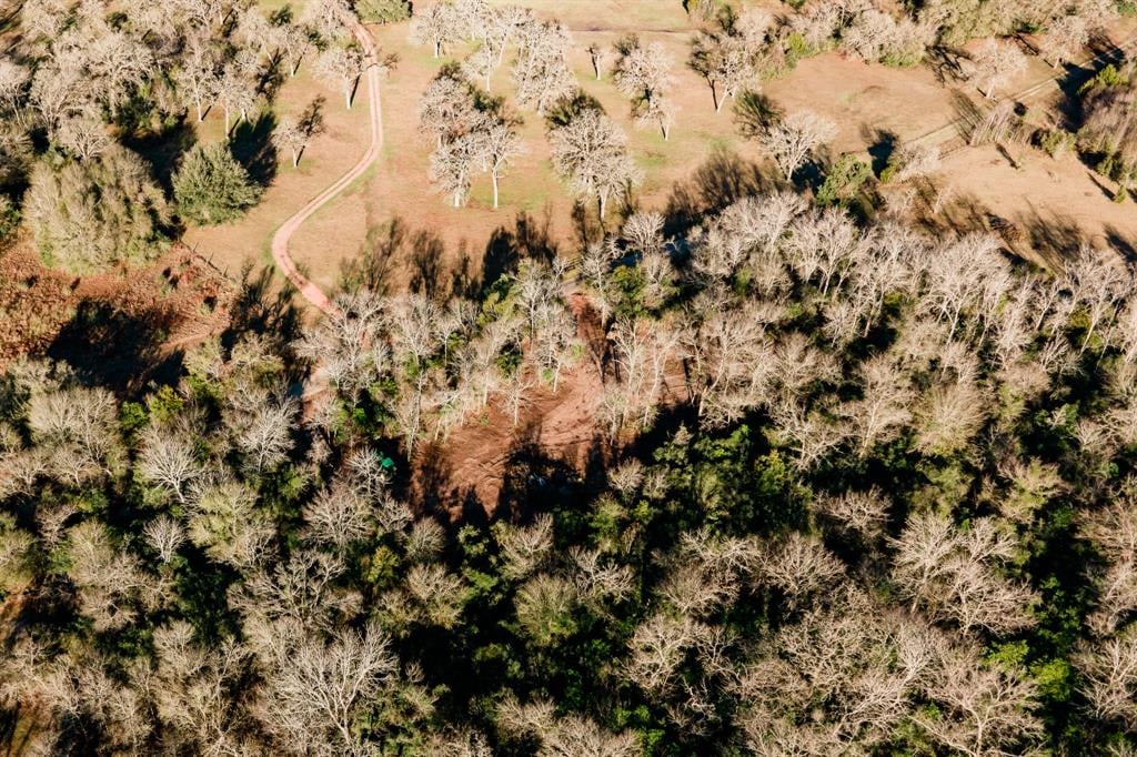 TBD Ellerman Rd Brenham, Tx 77833