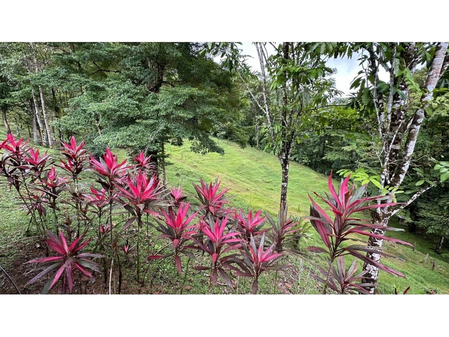 Enchanting Farm with Cabin for Sale