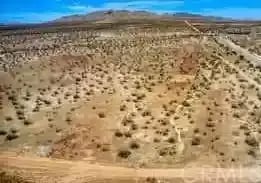 646 7972