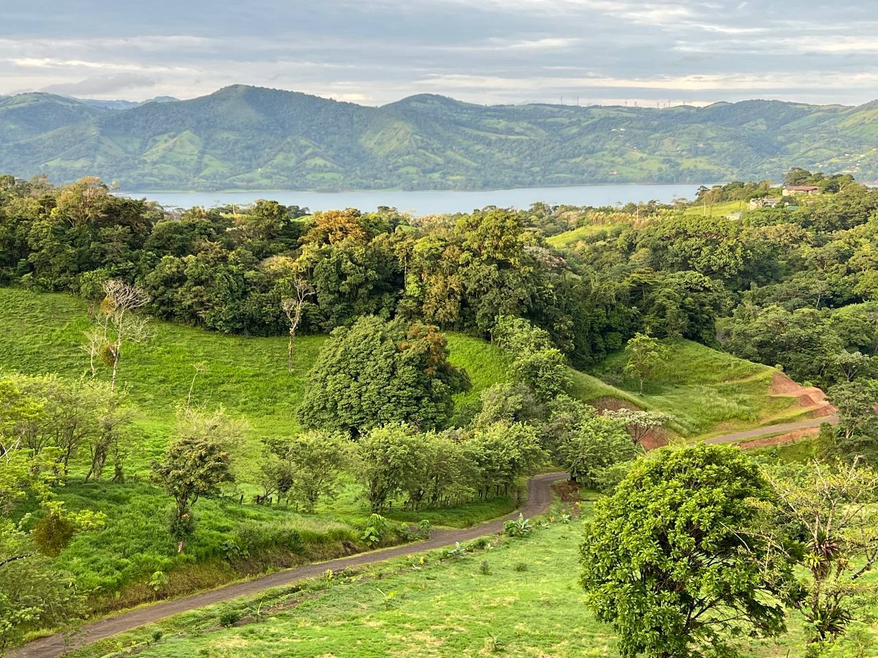 Permaculture Food Forest Land, Lake Arenal, Alajuela