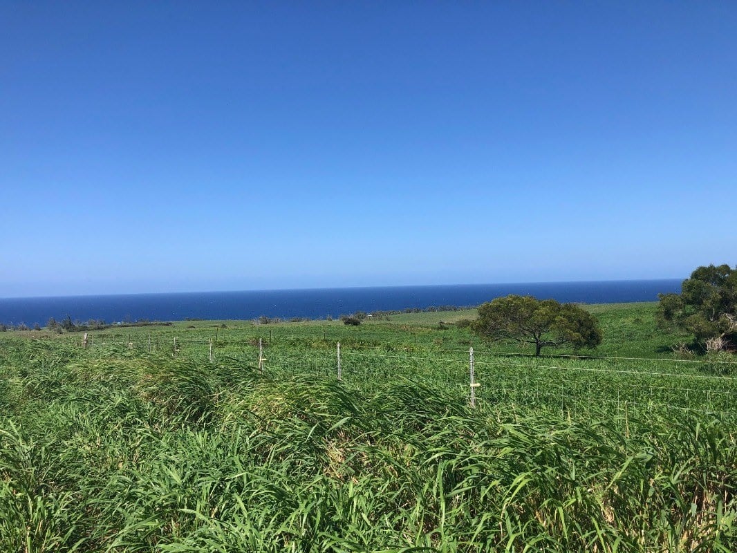 NORTH KOHALA LOT #306