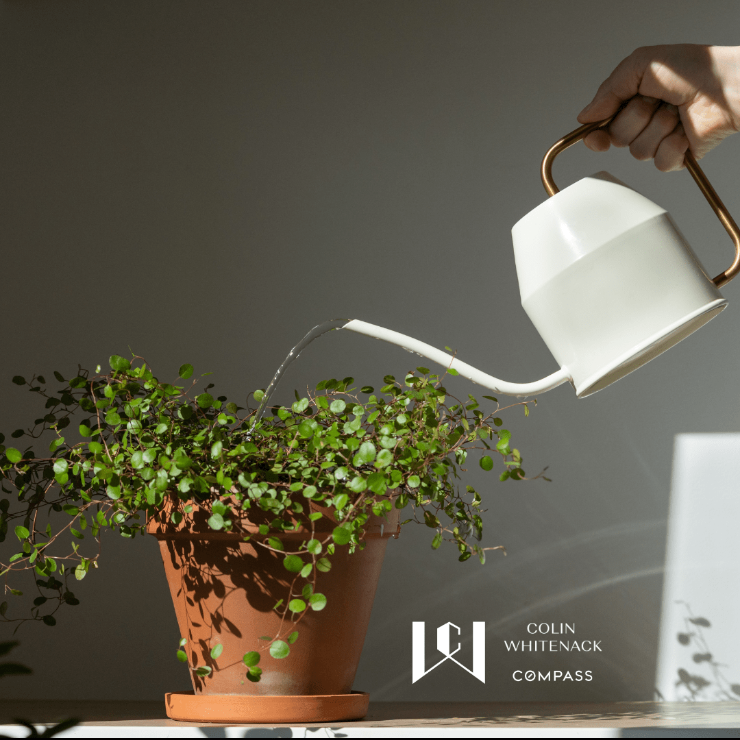 The Best Places to Buy Plants