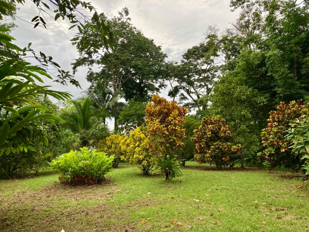  Eden Corcovado, Unique Beachfront from Paradise!