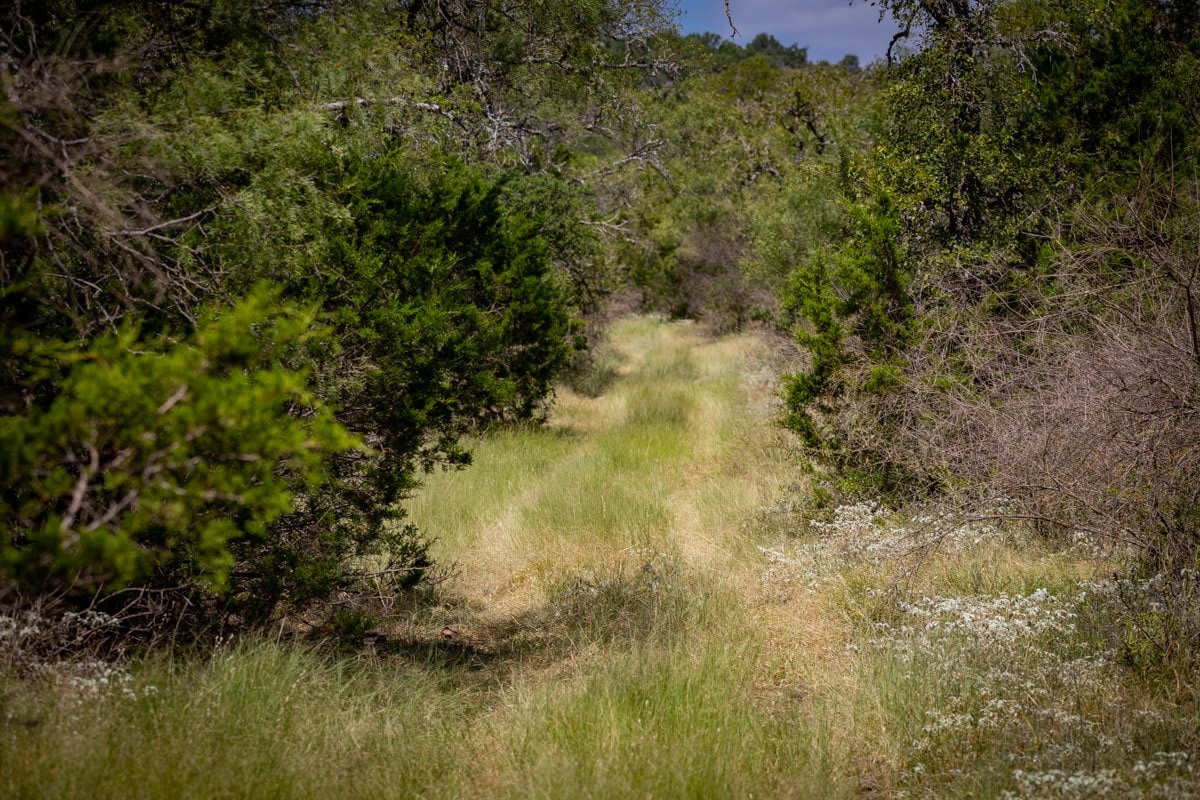 Packsaddle Ranch