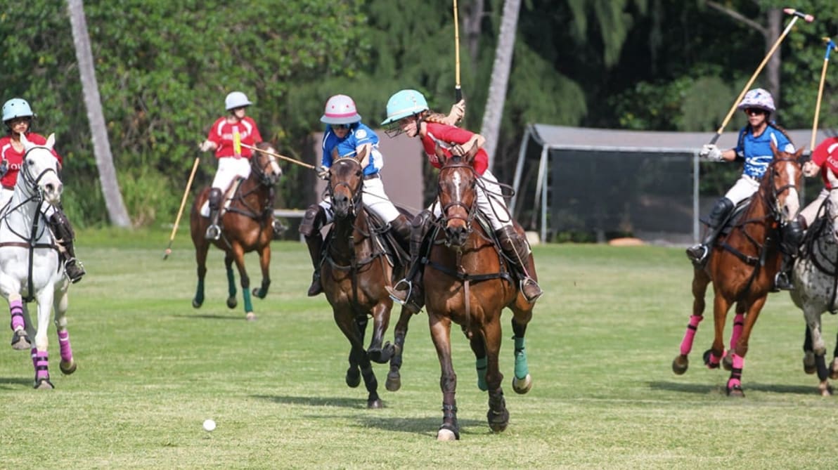 Hawaii Polo Club