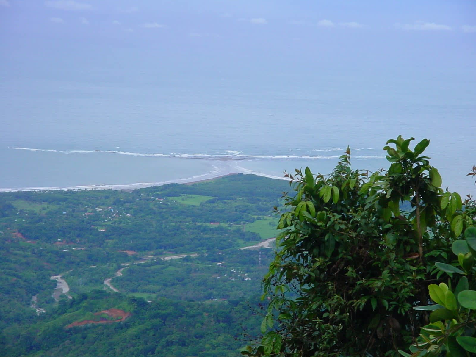 79 ACRES – Amazing Farm On Ridge Top With Whales Tail Ocean Views And 800 Exotic Tropical Fruit Trees!