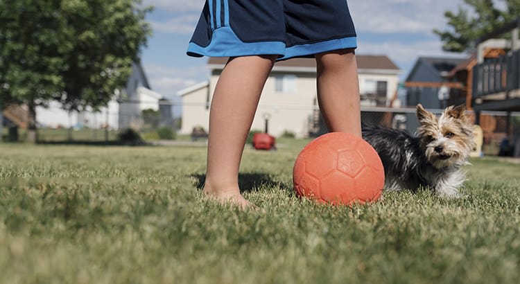 The focus is on their legs and a soccer ball. The setting appears to be a residential area, possibly a backyard or a neighborhood park, conveying outdoor activities and sports.
